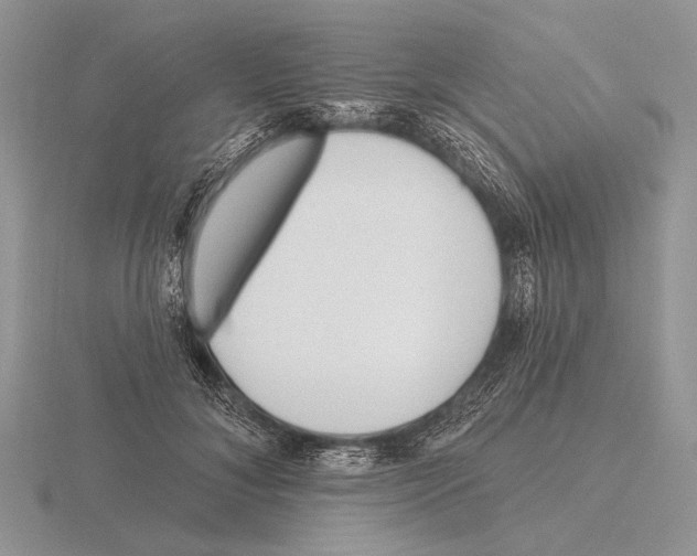 X0000115770700200912111106