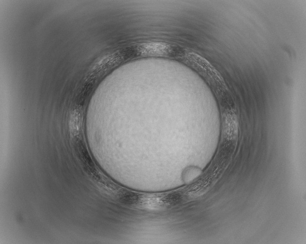 X0000115770701200912111106