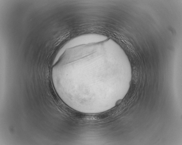 X0000115770704200912111106