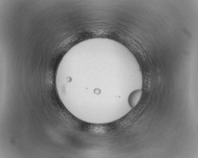 X0000115770710200912111106