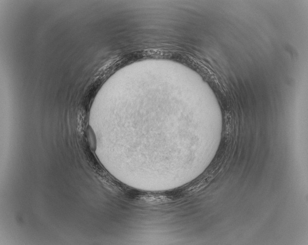 X0000115770712200912111106