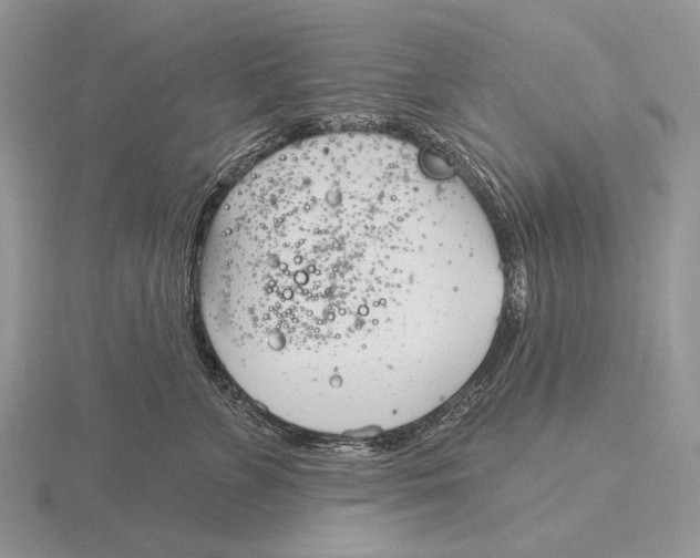 X0000115770715200912111106