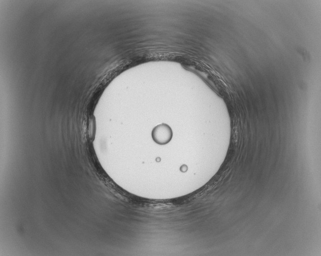 X0000115770716200912111106