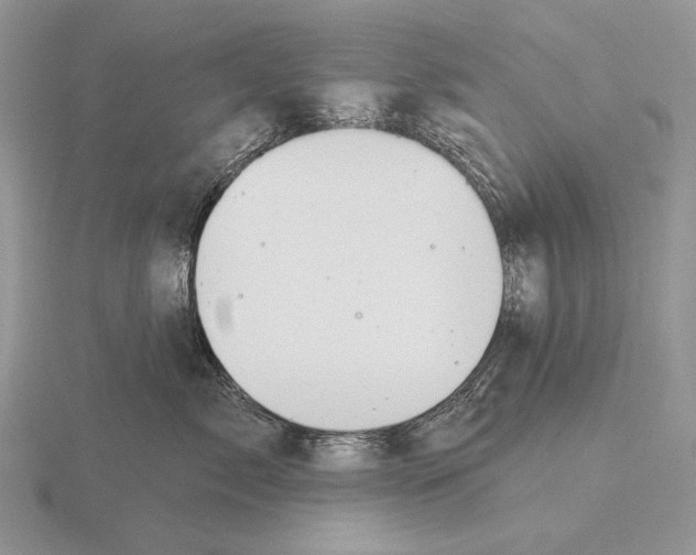 X0000115770717200912111106