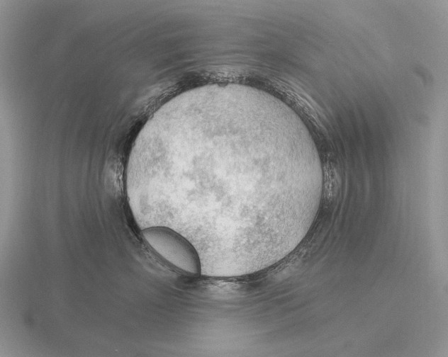 X0000115770718200912111106