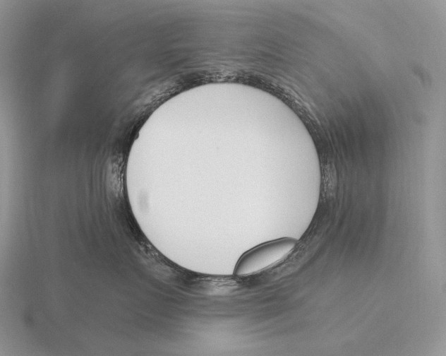 X0000115770719200912111106