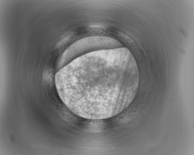 X0000115770720200912111106