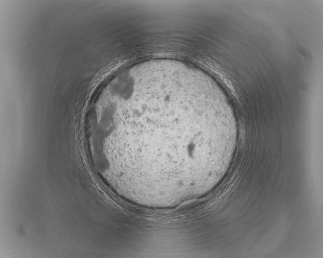 X0000115770721200912111106