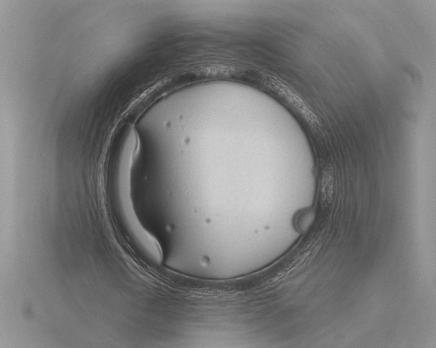 X0000115770722200912111106