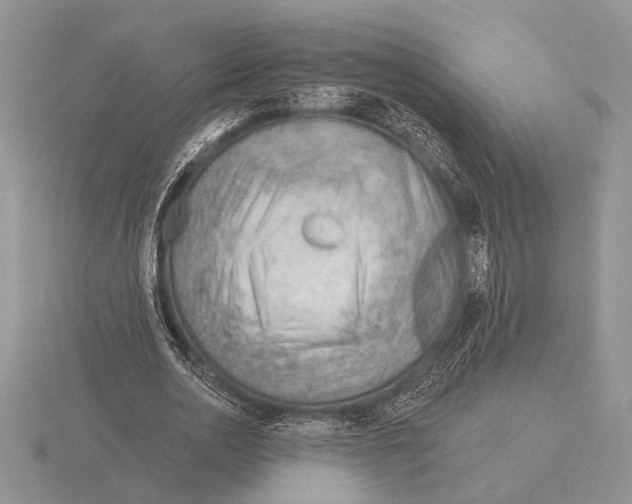 X0000115770726200912111106