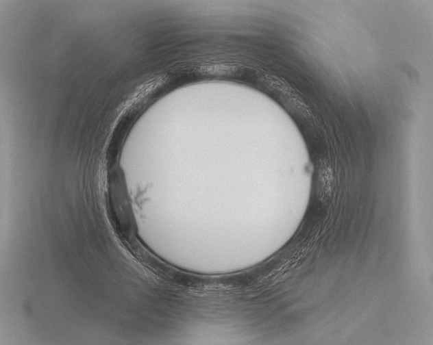 X0000115770734200912111106