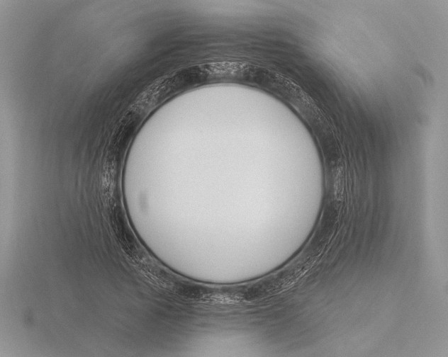 X0000115770737200912111106