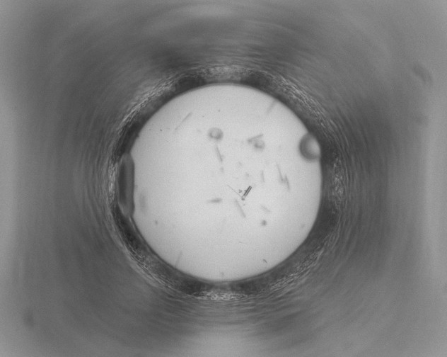 X0000115770742200912111106