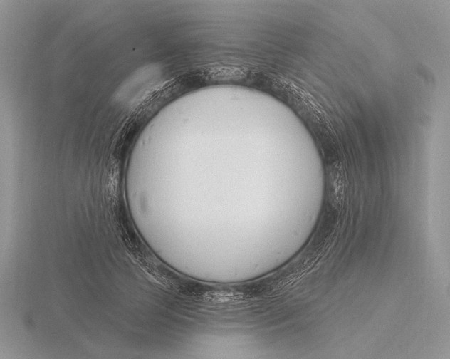 X0000115770745200912111106