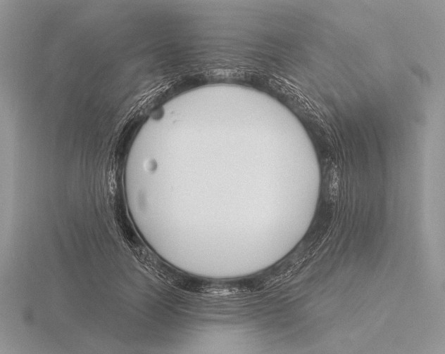 X0000115770746200912111106