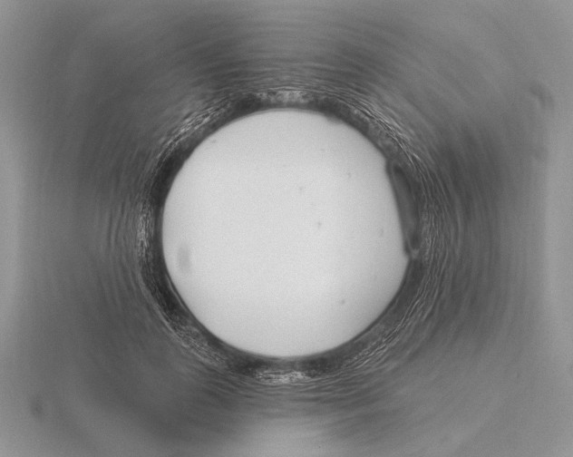 X0000115770747200912111106