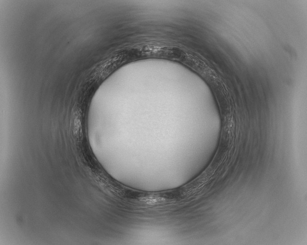 X0000115770754200912111106