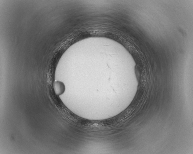 X0000115770755200912111106