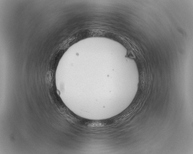 X0000115770759200912111106