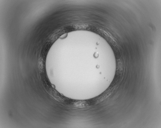 X0000115770761200912111106