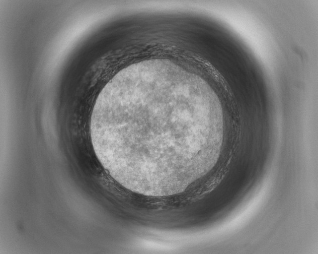 X0000115770767200912111106