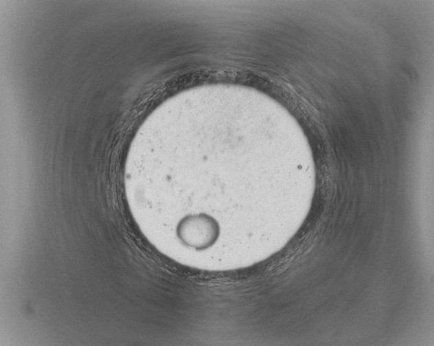 X0000115770769200912111106