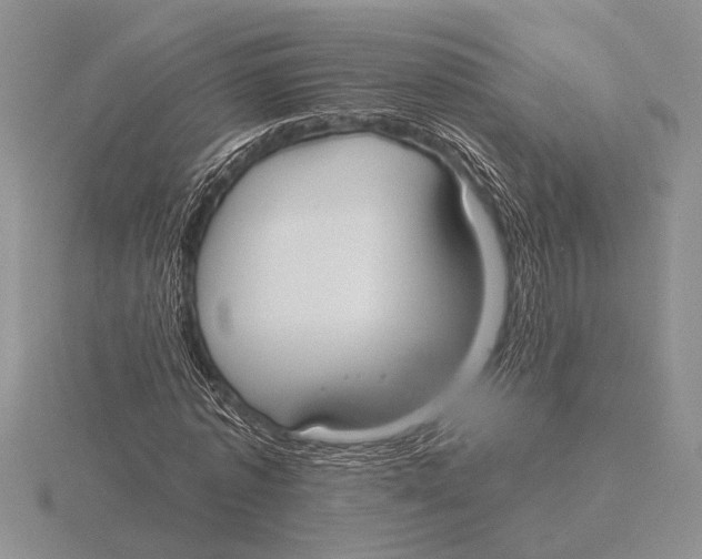 X0000115770773200912111105