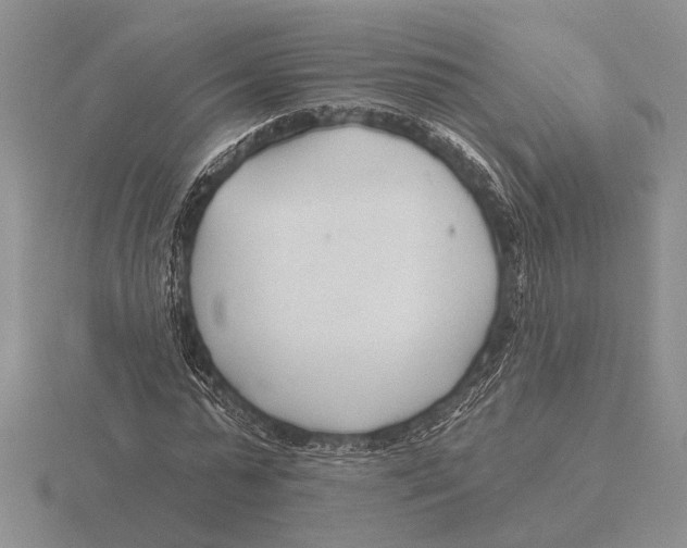 X0000115770775200912111105