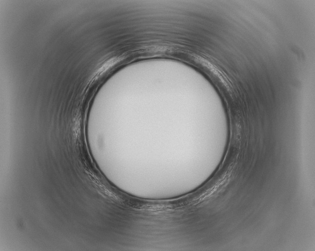 X0000115770778200912111105