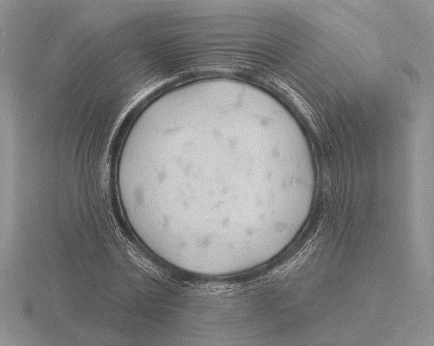 X0000115770779200912111105