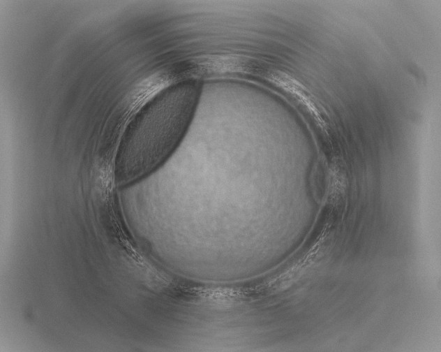 X0000115770785200912111105