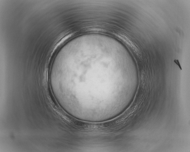 X0000115770790200912111105