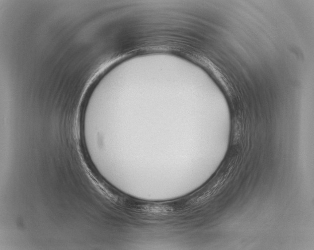 X0000115770795200912111105