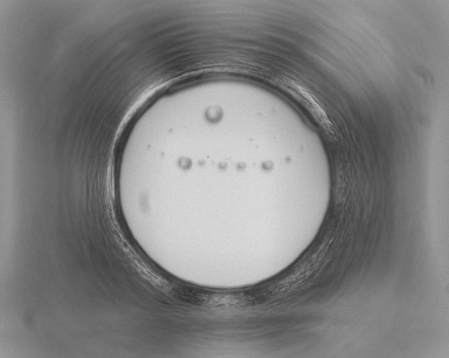 X0000115770796200912111105