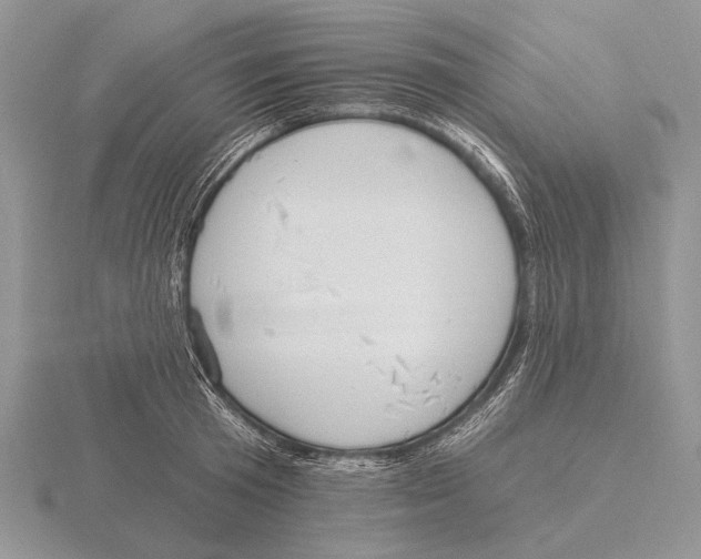 X0000115770801200912111105