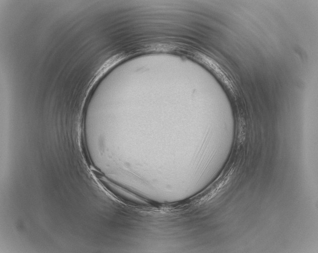 X0000115770802200912111105