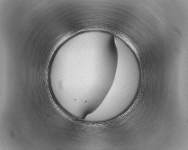 X0000115770805200912111105