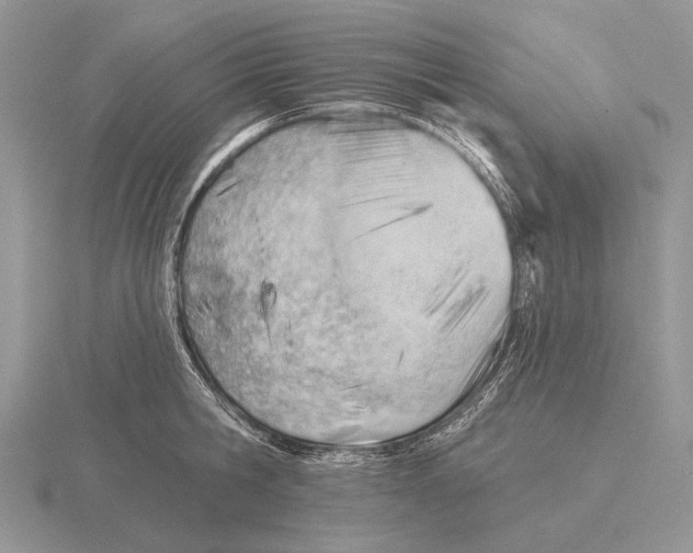 X0000115770806200912111105