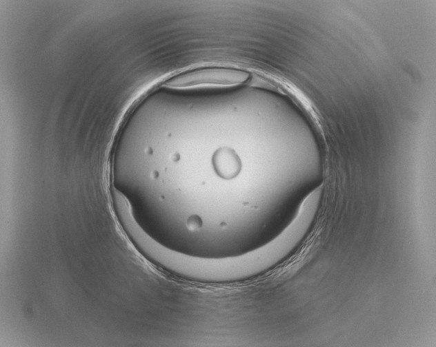 X0000115770807200912111105