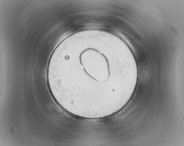 X0000115770810200912111105