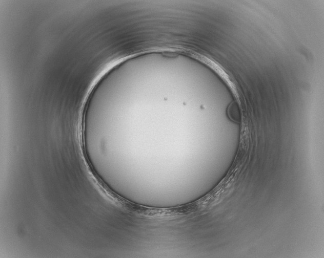 X0000115770811200912111105