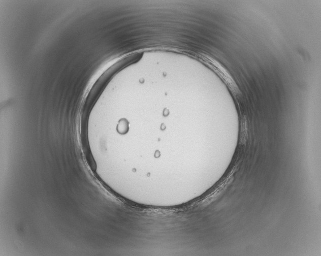 X0000115770812200912111105