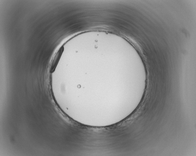 X0000115770816200912111105