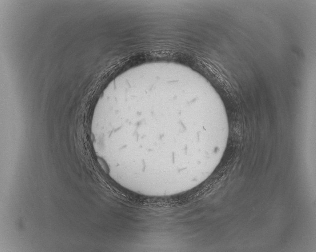 X0000115770817200912111104