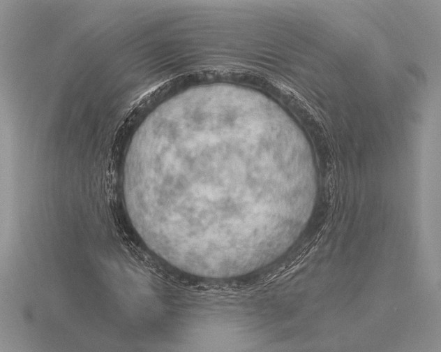 X0000115770822200912111104