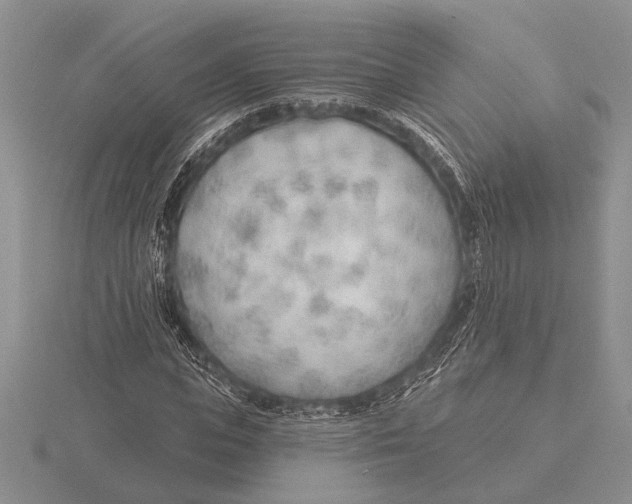 X0000115770823200912111104