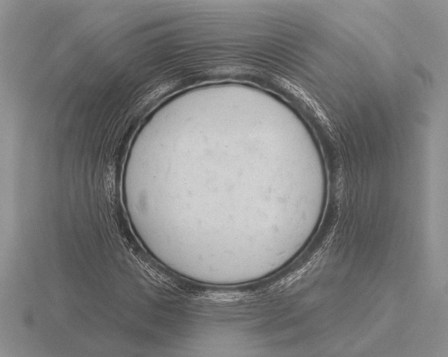 X0000115770825200912111104