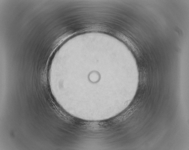 X0000115770828200912111104