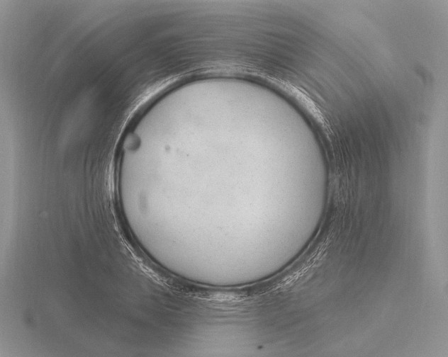 X0000115770839200912111104