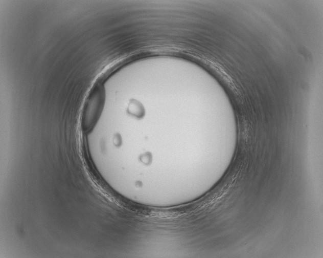 X0000115770840200912111104